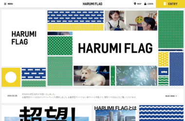 HARUMI FLAG