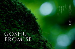 GOSHU PROMISE – 五洲薬品株式会社