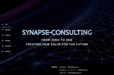 SYNAPSE CONSULTING Co., Ltd.