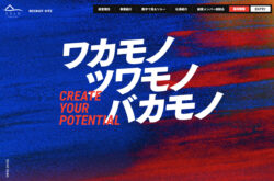 ソルー株式会社 | 採用サイト