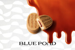 ブルーポンド | BLUE POND