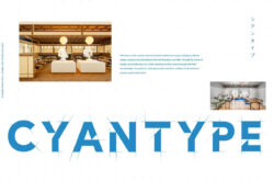 CYANTYPE | シアンタイプ
